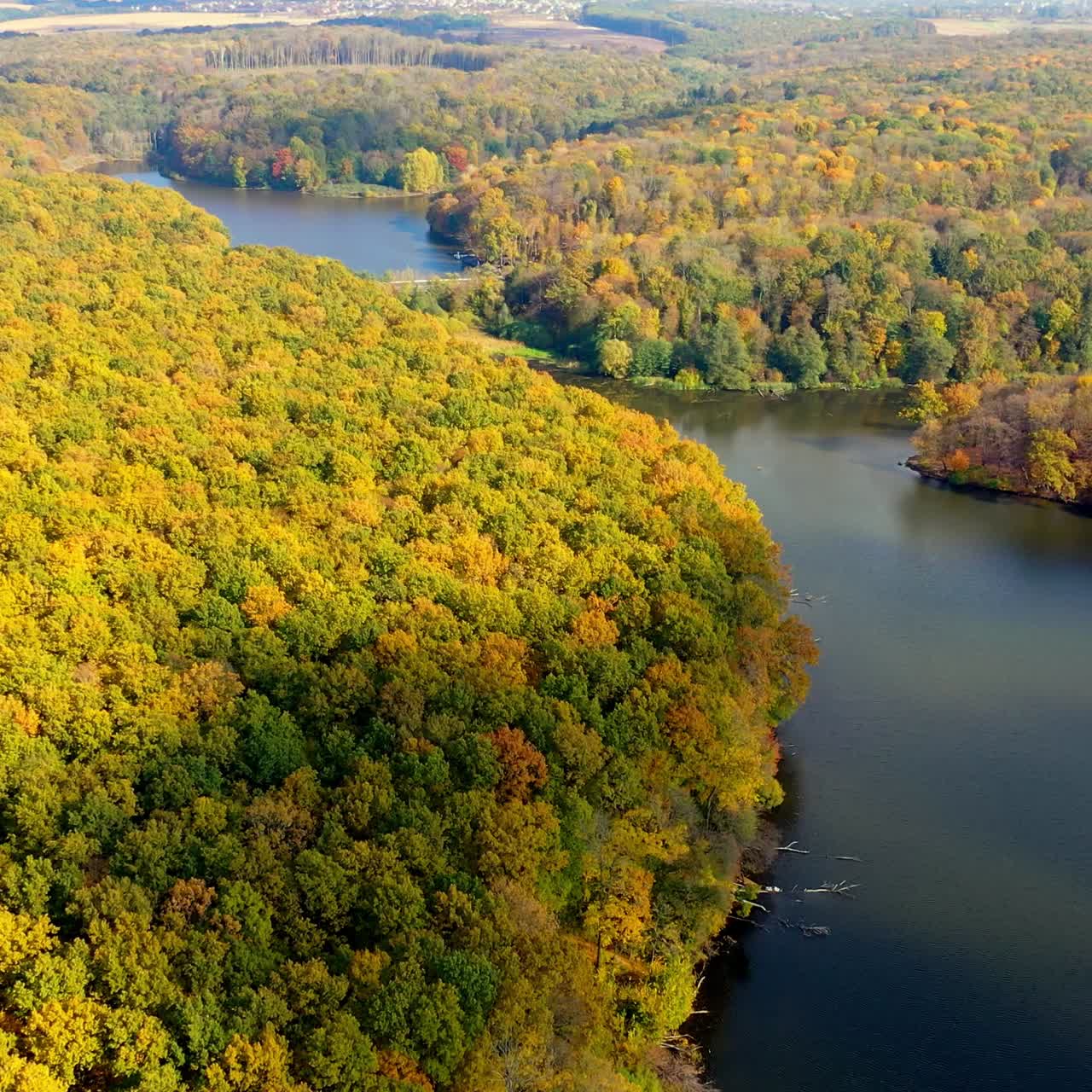 Beautiful scenery of autumn forests abundantly growing over the ramose river. Drone shot rising over the picturesque landscape