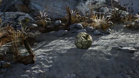 una vieja pelota de fútbol rota arrojada yace en la arena de la playa del mar