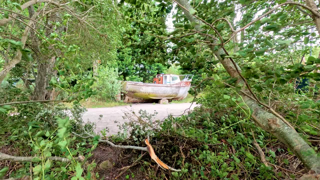 A windswept tree moves in the foreground as an old wooden boat rests on a pebbled beach, surrounded by lush greenery and soft daylight