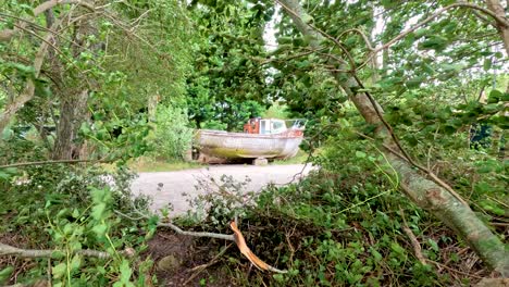 a windswept tree moves in the foreground as an old wooden boat rests on a pebbled beach, surrounded by lush greenery and soft daylight