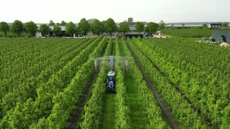 a gardener drives his tractor through his pear orchard and sprays crop protection products on the pears in the netherlands