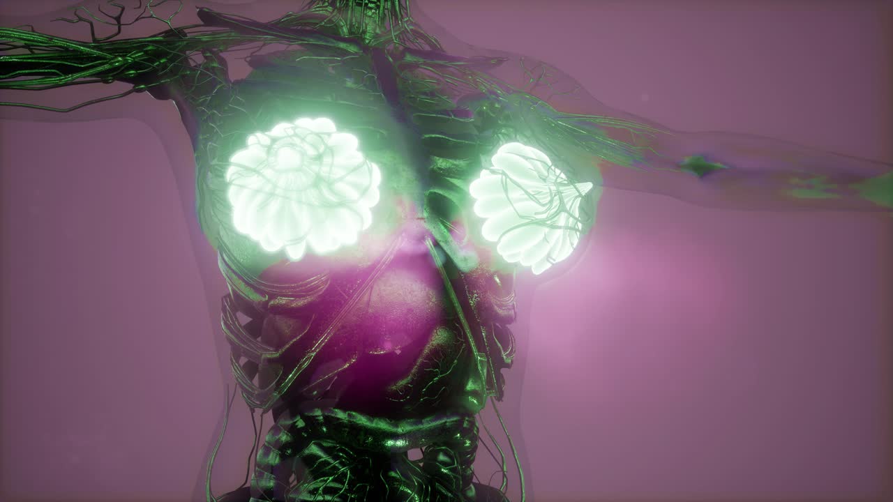 cuerpo humano con brillo visible glándula mamaria