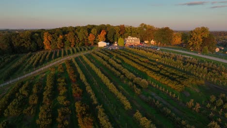 american fruit orchard and farm market at sunset