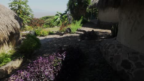 earthbag domes and cob houses in nature with sustainable design elements