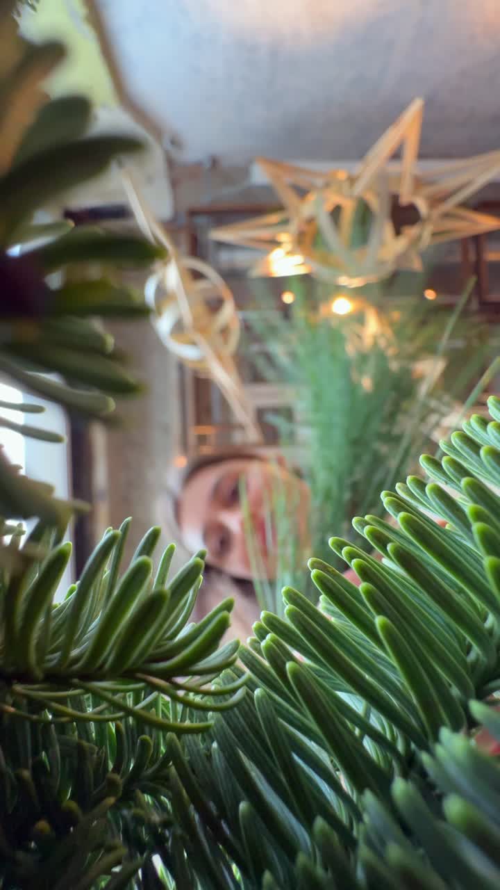 vista de cerca de un árbol de navidad