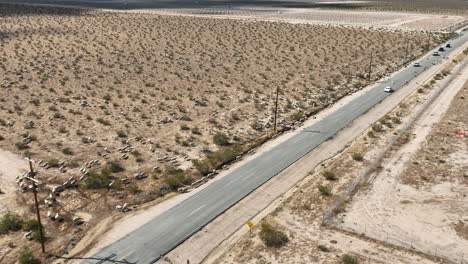 a flock of sheep stops traffic in the mojave desert - aerial view