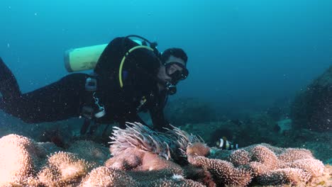 scuba diver marine citizen scientist swimming towards an anemonefish records data on an underwater slate