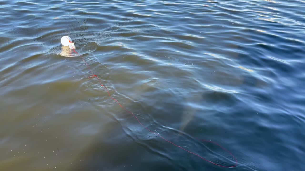 Balloon drifting on water with attached string