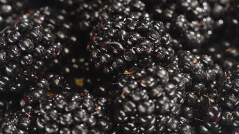 close-up of fresh blackberries