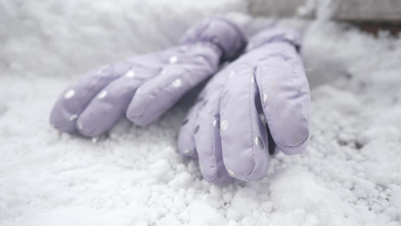 Lilac Gloves in the Snow