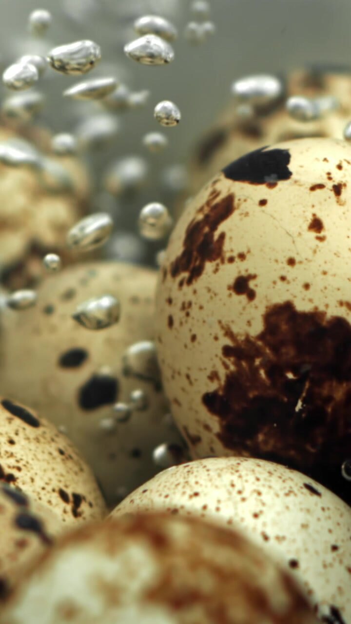 Macro Shot of Quail Eggs Boiling with Rising Bubbles