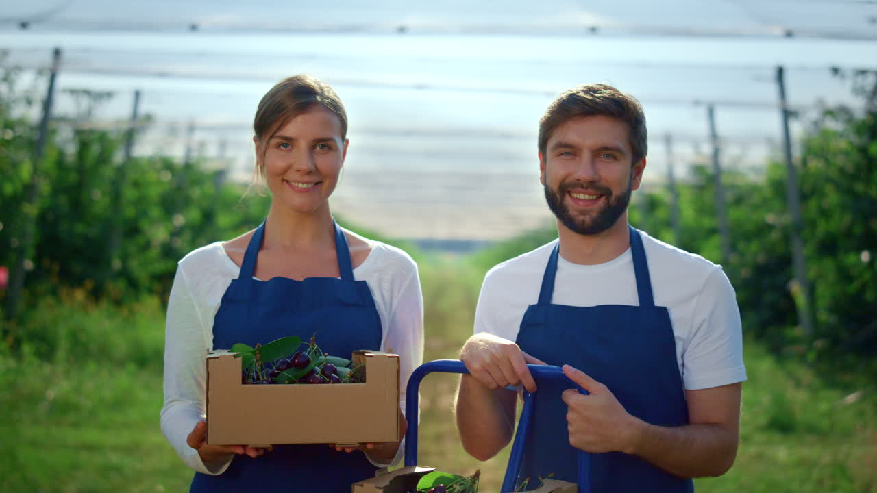 personas campesinas alegres sosteniendo una caja de frutas frescas orgánicas en un invernadero moderno.