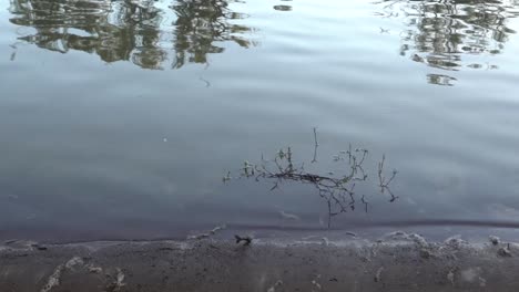 Outdoor-nature-river-shoreline-reflections-tree-camping