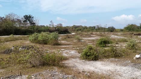 landscape shot of desolate wasteland landscape