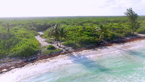 Filmación-Cinematográfica-De-Drones-Giratorios-De-La-Costa-Natural-Cerca-De-Mahahual-Mexico-Hacia-El-Sol