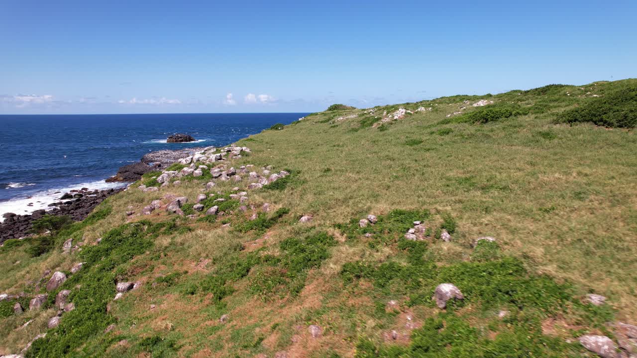 Rugged Landscape Of Cook Island With Seabirds Flying Off The Coast Of Fingal Head In NSW, Australia. aerial pullback shot