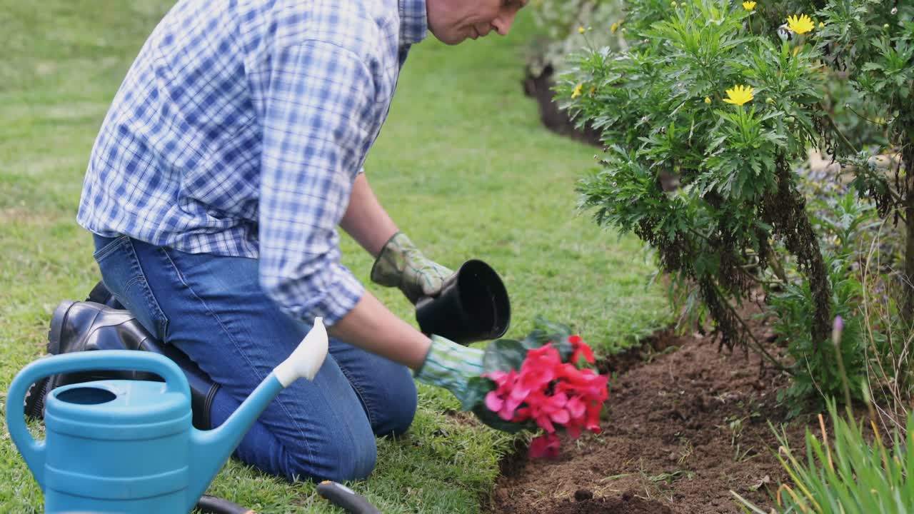 hombre plantando una planta en el jardín 4k