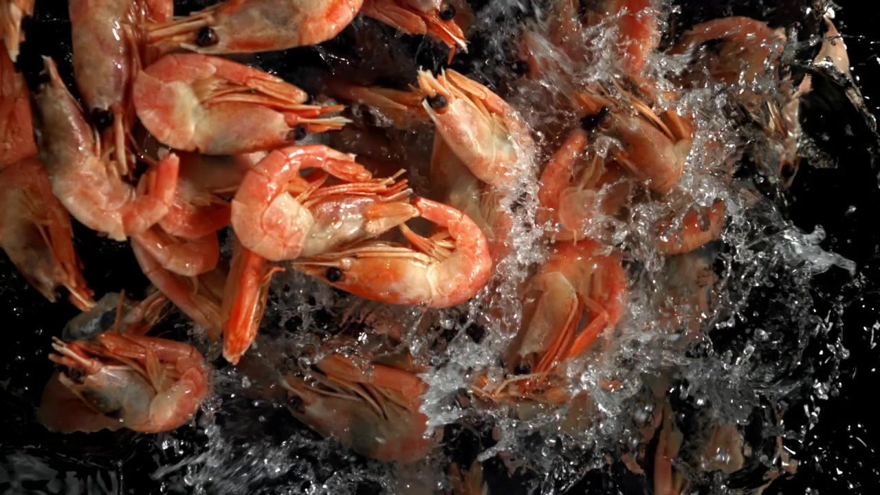 Gekochte Shrimps spritzen in Zeitlupe ins Wasser