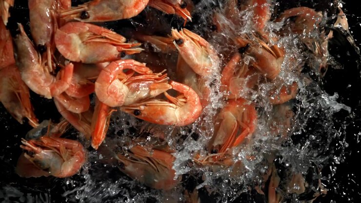 Cooked Shrimp Splashing in Water in Slow Motion