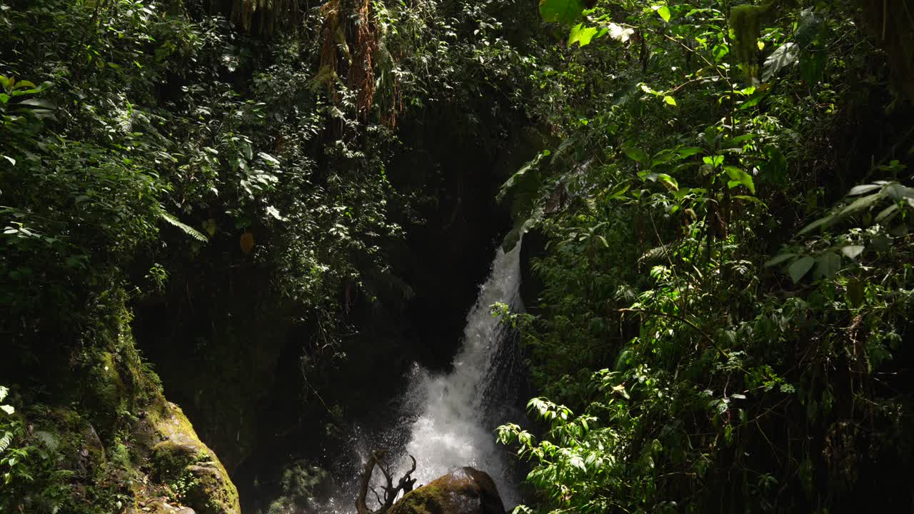 Cascata naturale nella Valle di Cocora, foresta pluviale tropicale in Colombia, Parco nazionale Los Nevados