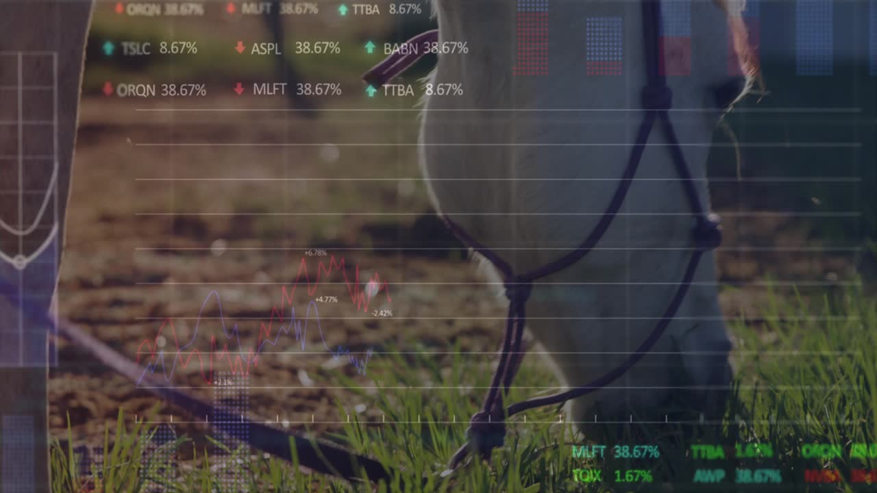 At scene start horse head lowering to nibble grass while financial charts visualizing trends