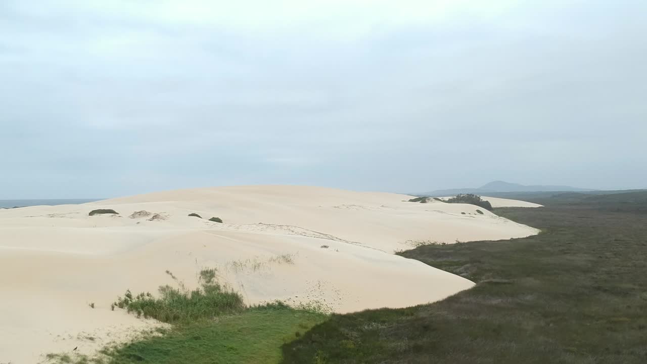 Aerial view of a coastal sand dune slowly covering a large vegetation area in a national park