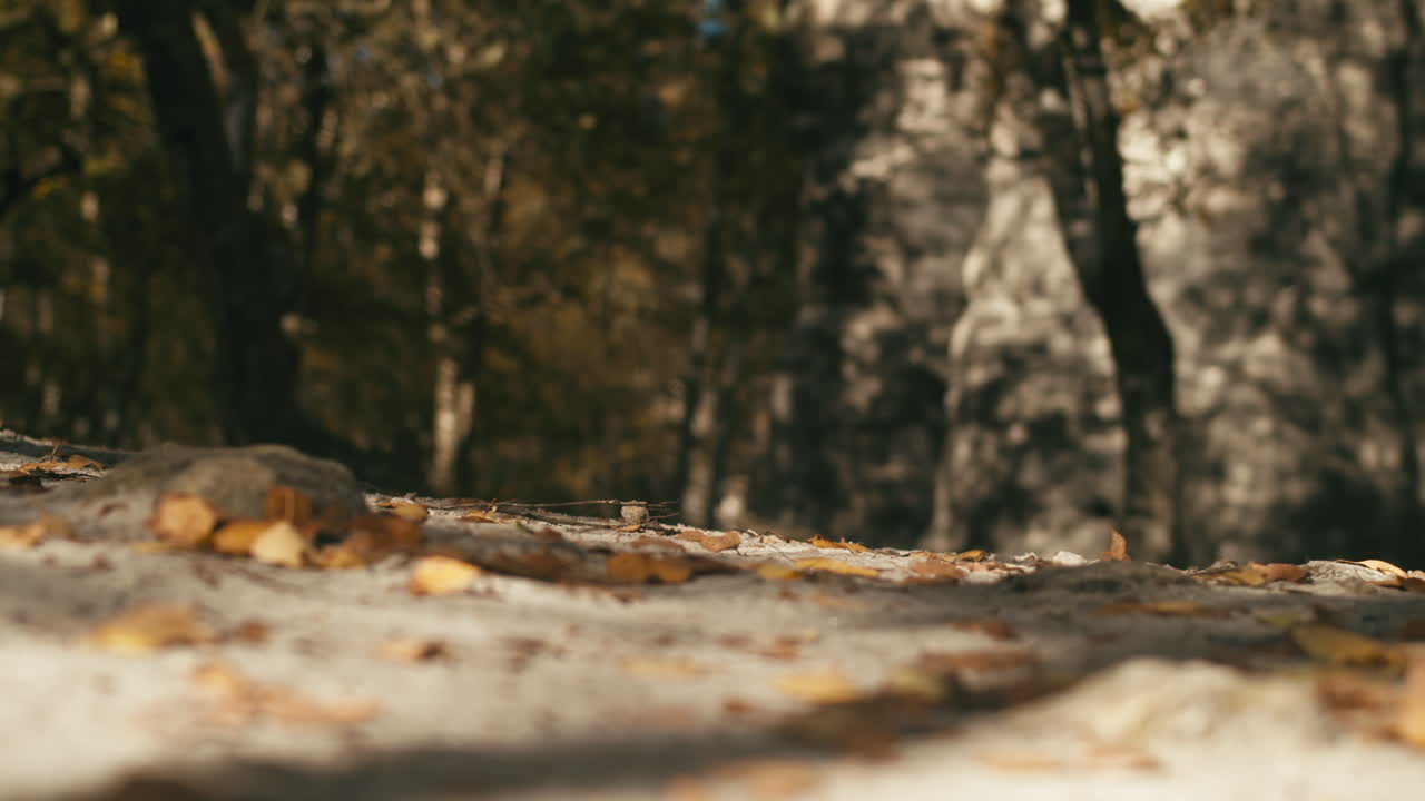 바람이 돌 바닥에 단풍을 불고 슬로우 모션