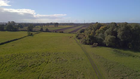 Ländliche-Landschaft-Brandenburg