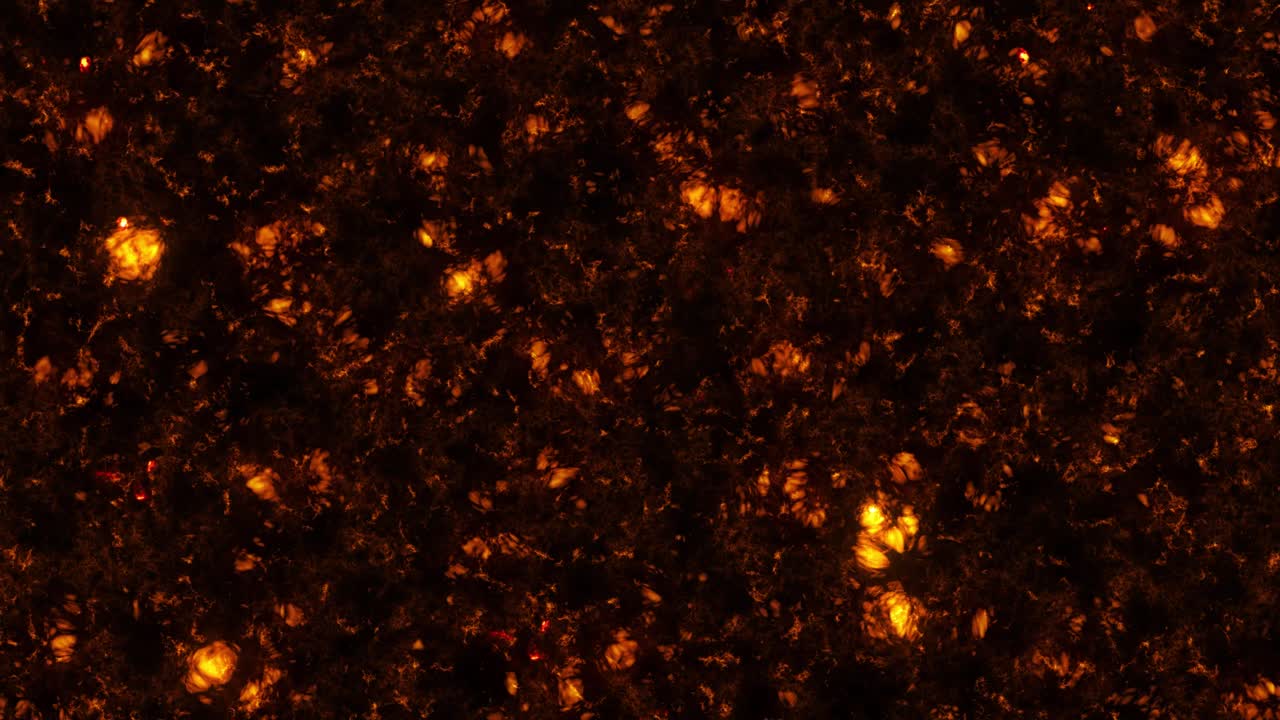 la superficie en llamas del sol