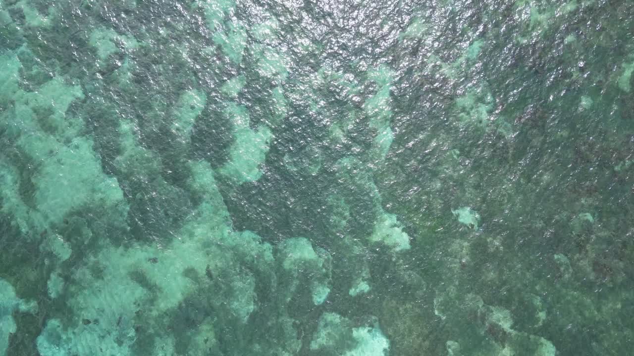 Aerial Top Down View of Green, Clear, Shallow Ocean Reef and Sandbar in the Philippines