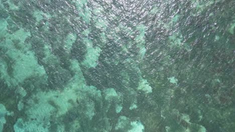 Aerial-Top-Down-View-of-Green,-Clear,-Shallow-Ocean-Reef-and-Sandbar-in-the-Philippines