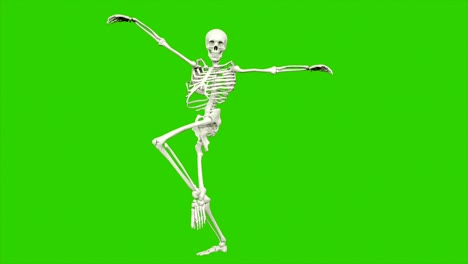 skeleton dancing. seamless loop animation on green screen.