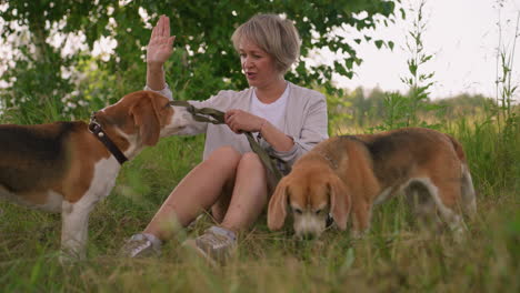 animal trainer sitting in grassy field outdoors raising her hand in a gesture while dog looks attentively at her hand, second dog appears to be nibbling something