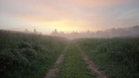 Latgale-De-Letonia-En-El-Mes-De-Junio