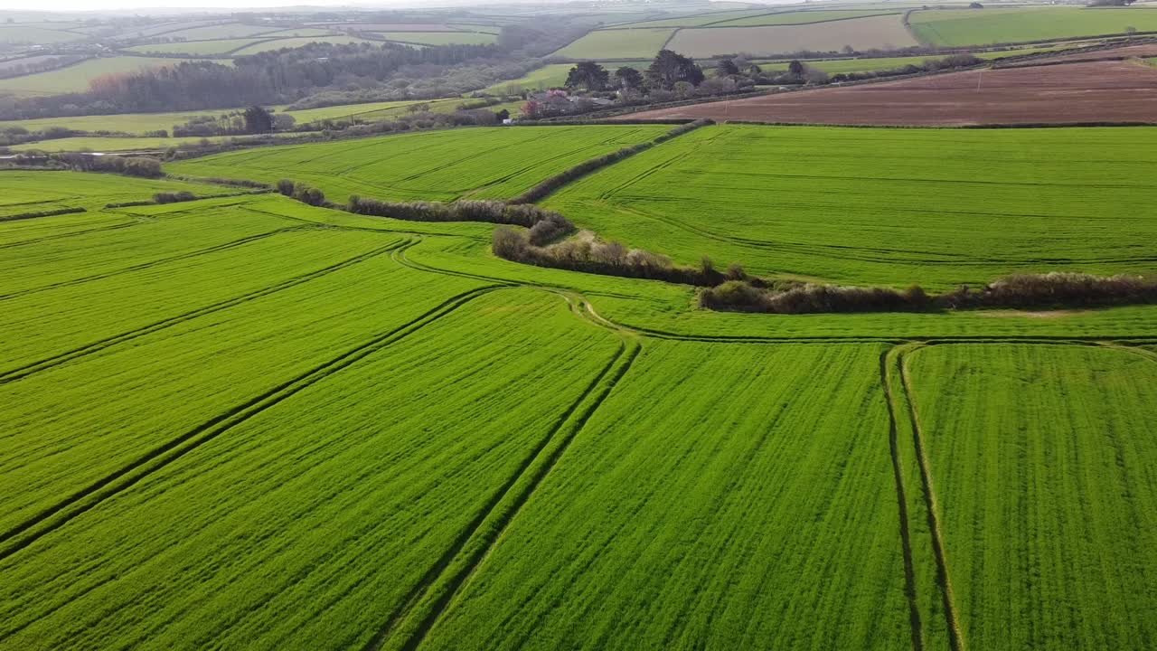 Green lush farmers fields in Summer agriculture