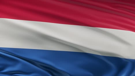 neaderlands flag waving on wind seamles loop 3d animation. 4k resolution