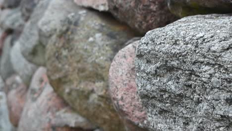 estructura tradicional de pared de piedra de cerca en saaremaa estonia durante el verano mientras el enfoque de la cámara cambia cinematográficamente