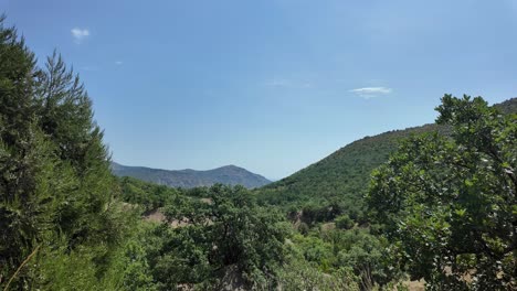 A-scenic-view-of-the-Crimean-mountains-on-a-sunny-day