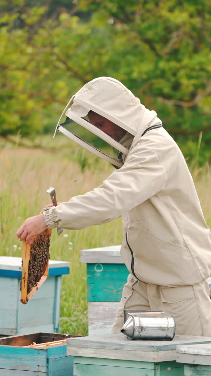 Beekeeper protected by special clothes and hat checks the beehives. Bee farm with wooden hives at the backdrop of green forest. Vertical video