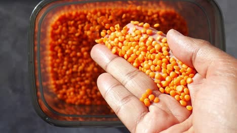 hand holding red lentils