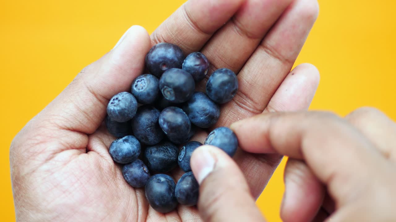 손에 블루베리
