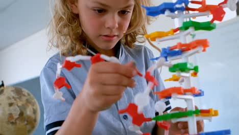 leuk blank schoolmeisje dat dna-model bestudeert in de klas op school 4k