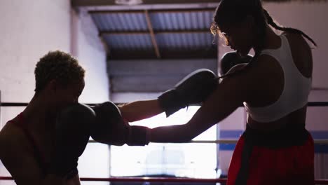 two mixed race boxing with each other