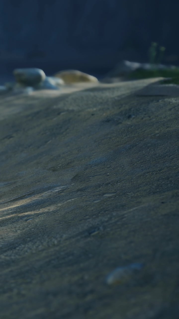 Rocks and dry ground in outdoor setting with shadows from trees