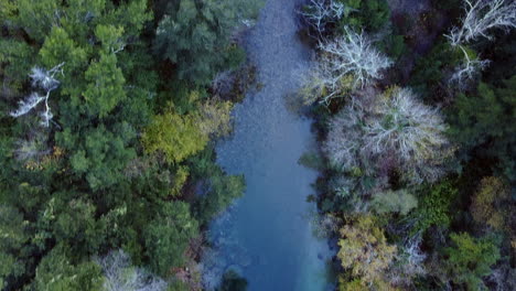 Bosque,-Río-Y-Un-Puente-Desde-Arriba,-Disparos-De-Drones