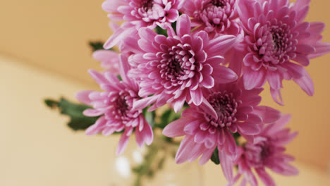 Video-of-pink-flowers-in-glass-vase-with-copy-space-on-yellow-background