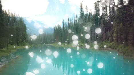 lago en el bosque con luces bokeh