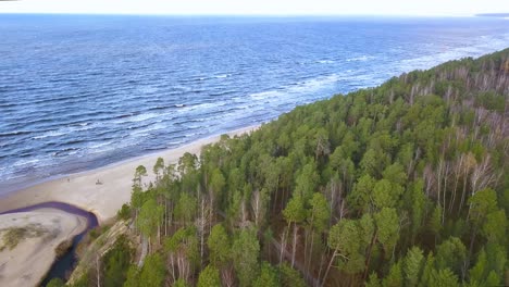 Vogelperspektive-Auf-Mutter-Natur-Mit-Ruhigen-Wellen,-Die-Den-Sandstrand-Erreichen