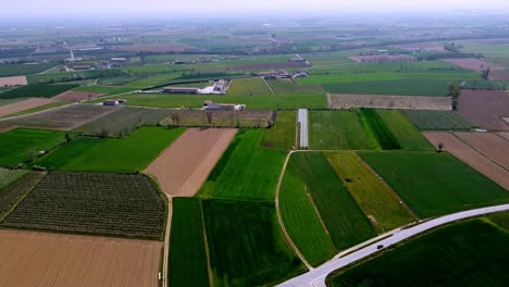 volando sobre amplios campos verdes de agricultura, campo cerca de turín, italia