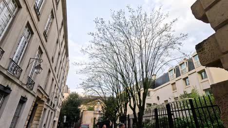 people walking down a tree-lined urban street